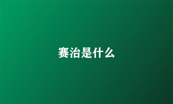 赛治是什么