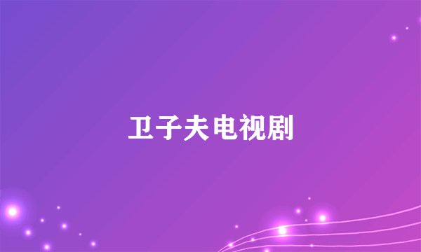 卫子夫电视剧