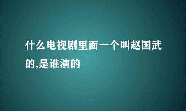 什么电视剧里面一个叫赵国武的,是谁演的