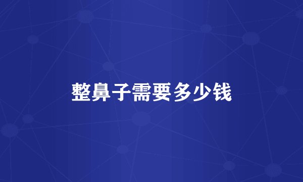 整鼻子需要多少钱