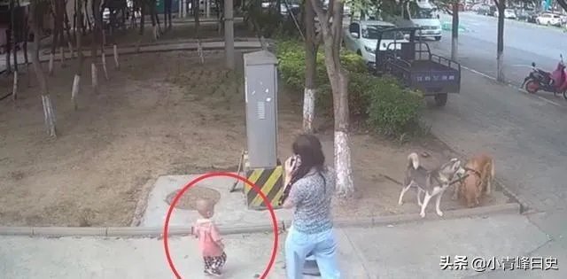 女子路边树上拴狗没让儿童靠近，老人骑车猛撞狗主人，你怎么看？