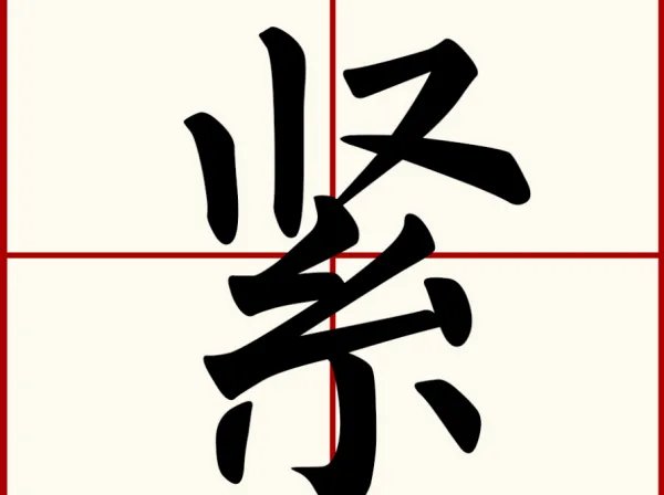 紧组词和部首