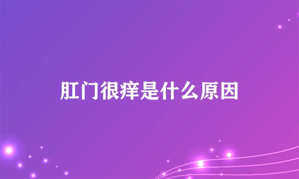 肛门很痒是什么原因