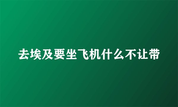 去埃及要坐飞机什么不让带