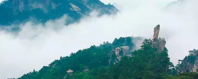 不畏浮云遮望眼下一句 登飞来峰原文及翻译