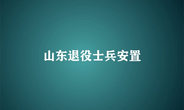 山东退役士兵安置
