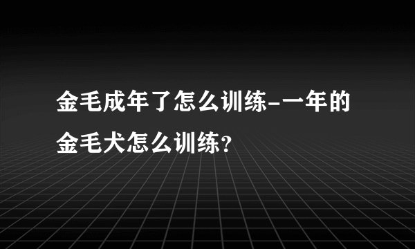 金毛成年了怎么训练-一年的金毛犬怎么训练？