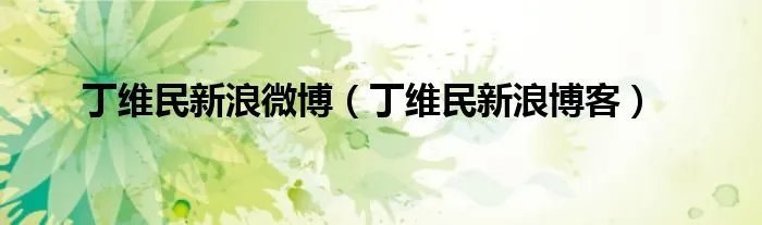 丁维民新浪微博（丁维民新浪博客）