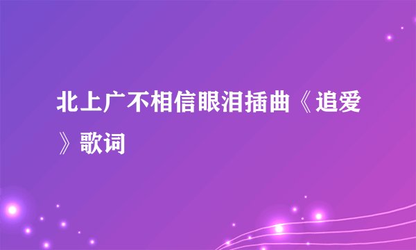 北上广不相信眼泪插曲《追爱》歌词
