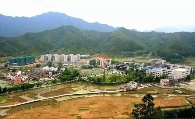 广东佛冈有什么特色?