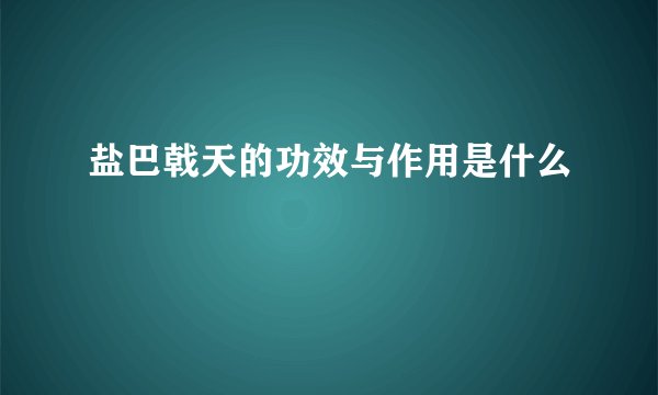 盐巴戟天的功效与作用是什么
