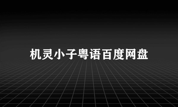 机灵小子粤语百度网盘