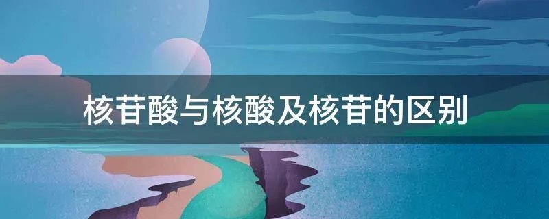 核苷酸与核酸及核苷的区别