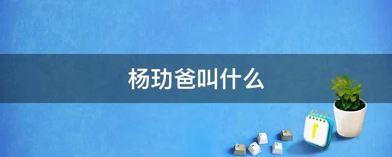 杨玏爸叫什么