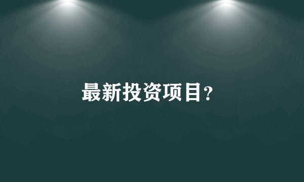 最新投资项目？