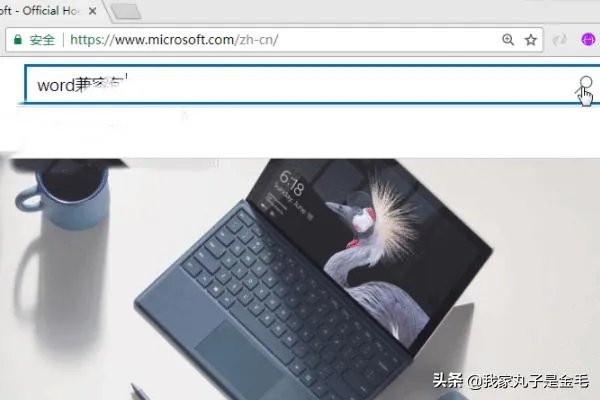 Word如何下载Word2003/2007/2010/2013兼容包?