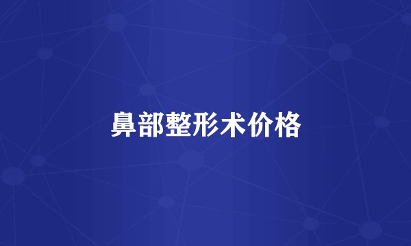 鼻部整形术价格