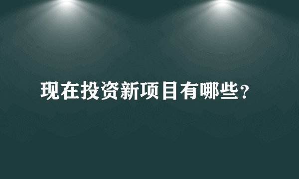 现在投资新项目有哪些？