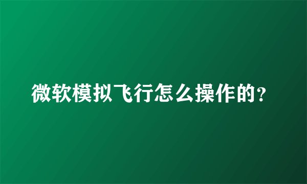 微软模拟飞行怎么操作的？