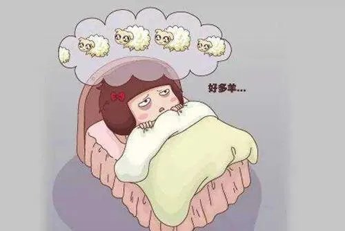 曾轶可数了3000只羊，数羊可以帮助睡眠吗？