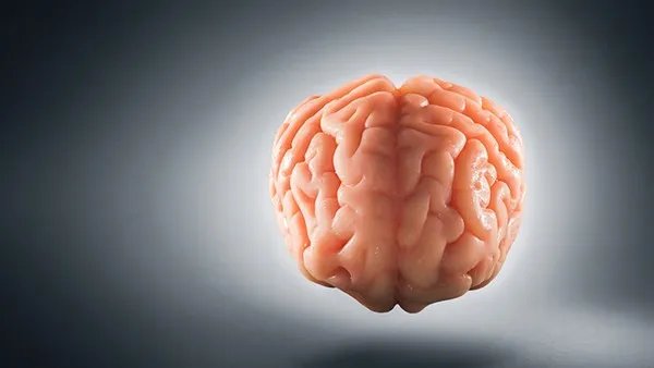 脑出血没有自主呼吸应该放弃治疗吗？