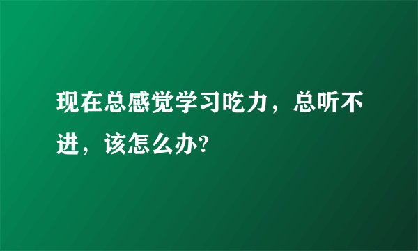 现在总感觉学习吃力，总听不进，该怎么办?