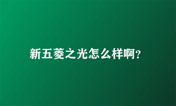 新五菱之光怎么样啊？