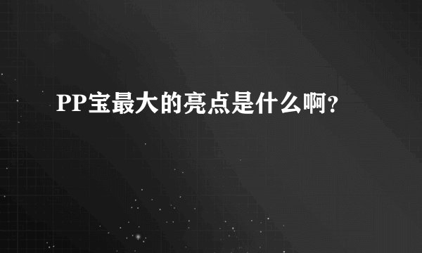 PP宝最大的亮点是什么啊？
