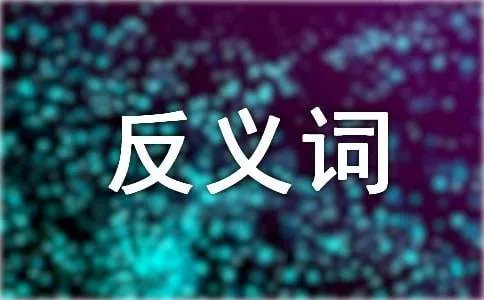 真诚的反义词