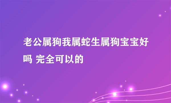 老公属狗我属蛇生属狗宝宝好吗 完全可以的