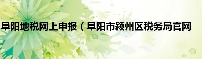 阜阳地税网上申报（阜阳市颍州区税务局官网