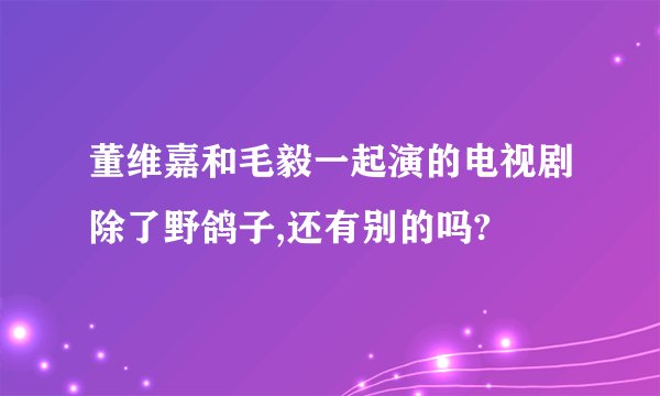董维嘉和毛毅一起演的电视剧除了野鸽子,还有别的吗?