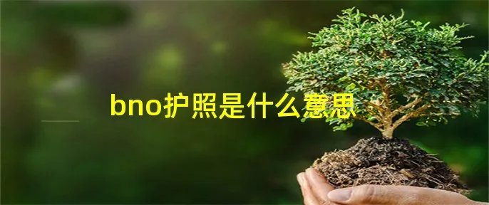 bno护照是什么意思