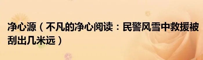 净心源（不凡的净心阅读：民警风雪中救援被刮出几米远）