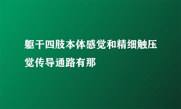 躯干四肢本体感觉和精细触压觉传导通路有那
