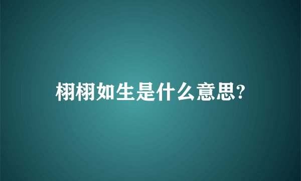 栩栩如生是什么意思?
