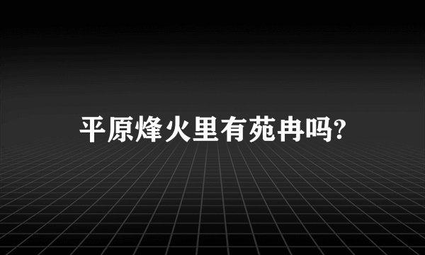 平原烽火里有苑冉吗?