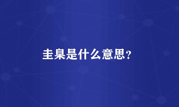 圭臬是什么意思？