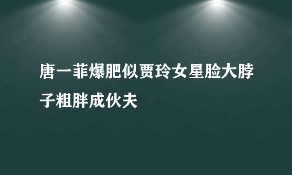 唐一菲爆肥似贾玲女星脸大脖子粗胖成伙夫