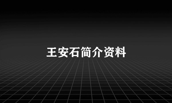 王安石简介资料