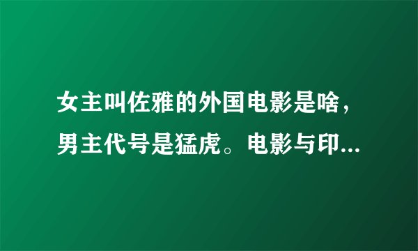 女主叫佐雅的外国电影是啥，男主代号是猛虎。电影与印度和巴基斯坦有关。