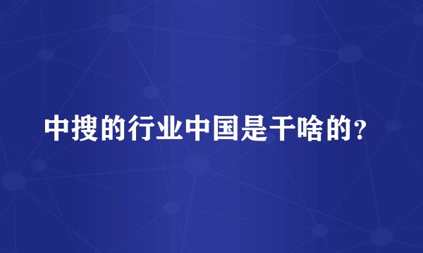 中搜的行业中国是干啥的？