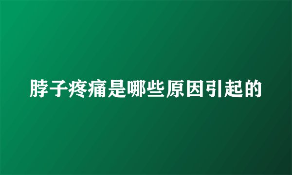脖子疼痛是哪些原因引起的