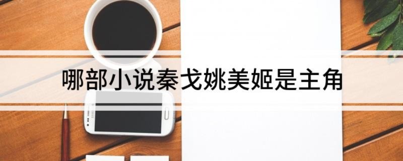 秦戈姚美姬是主角的小说叫什么 哪部小说秦戈姚美姬是主角