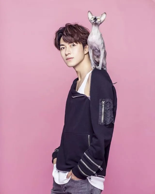 演员范晓东有人了解吗?