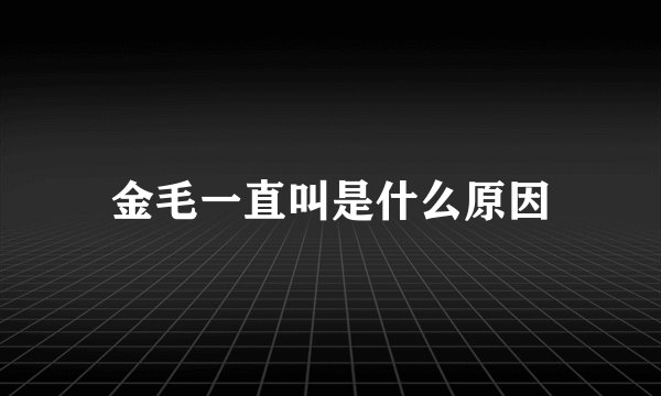 金毛一直叫是什么原因