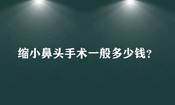 缩小鼻头手术一般多少钱？