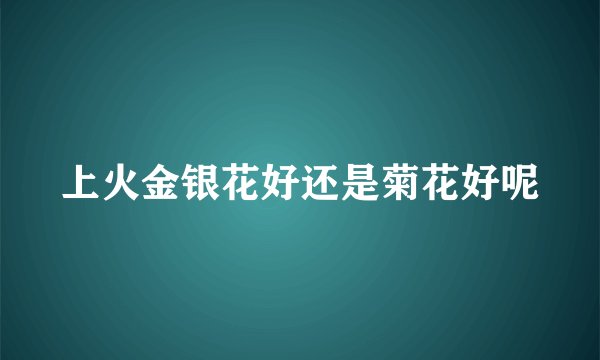 上火金银花好还是菊花好呢