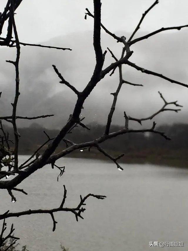 阴雨天如何拍出好照片？