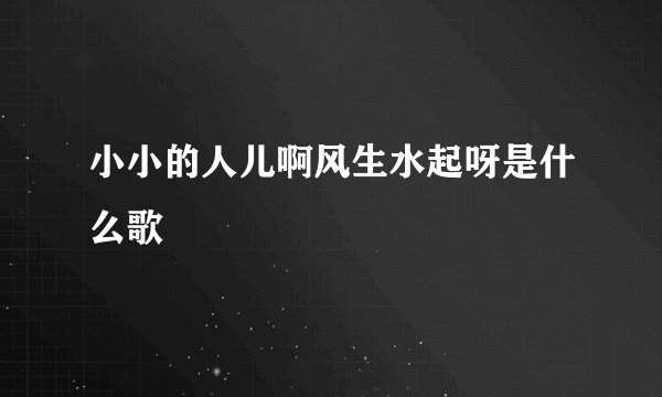 小小的人儿啊风生水起呀是什么歌